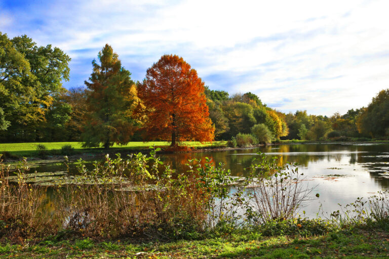 Photo du parc des Gayeulles