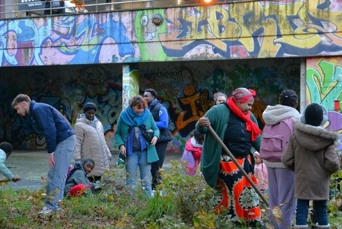 Atelier transplantation des jeunes pousses du chêne